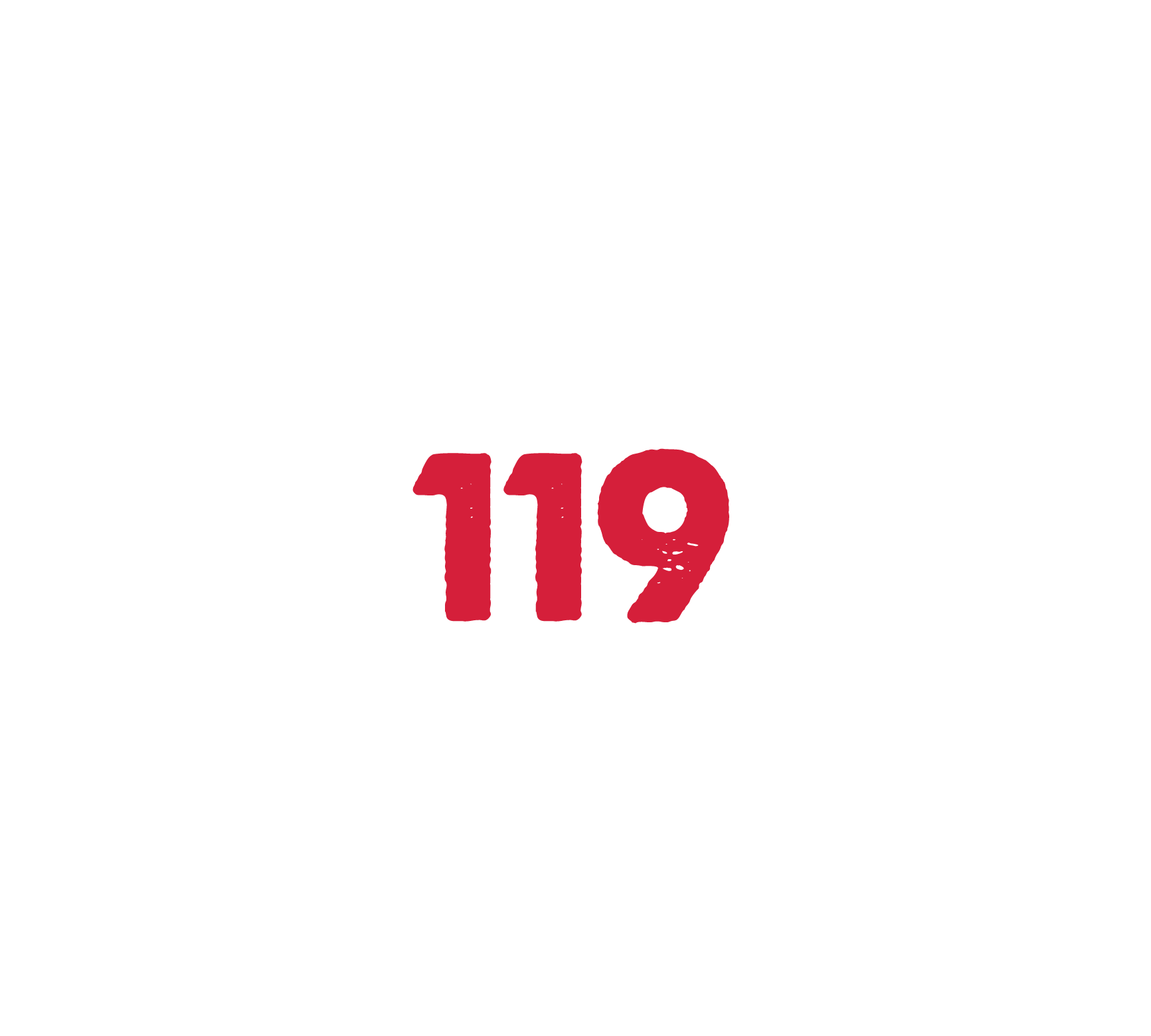 Company 119
